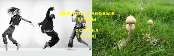 соль курить ск Белокуриха