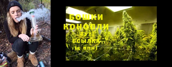 соль курить ск Белокуриха