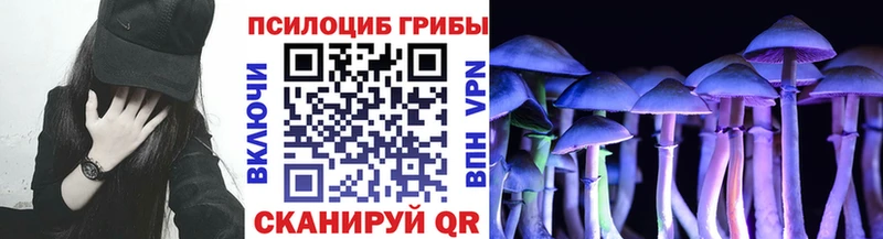 Псилоцибиновые грибы прущие грибы  Гай 